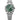 Rolex Datejust 41mm 126334-0028 Mint Green Index Dial, Unworn 2026