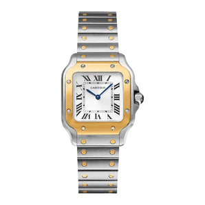 Cartier Santos Small 34.5mm W2SA0033 Silver Roman Dial, Worn 2025